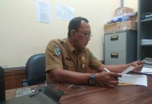 Pasien DBD di Rohul Mencapai 29 Kasus, 2 Meninggal Dunia