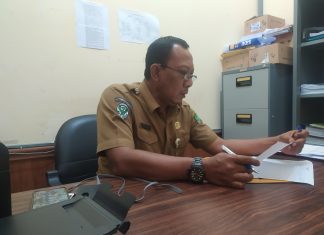 Pasien DBD di Rohul Mencapai 29 Kasus, 2 Meninggal Dunia