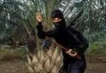 Lima Ninja Sawit Diamankan Polisi di Rohul, Diduga Curi Sawit Hingga 2 Ton