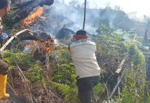 Rawan Karhutla, Bupati Sukiman Ajak Masyarakat Tidak Bakar Lahan