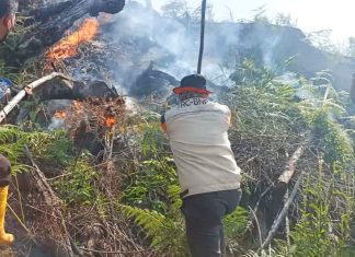Rawan Karhutla, Bupati Sukiman Ajak Masyarakat Tidak Bakar Lahan