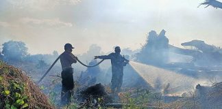 Lahan di Bonai Terbakar, Tim Gabungan Berjibaku Padamkan Api