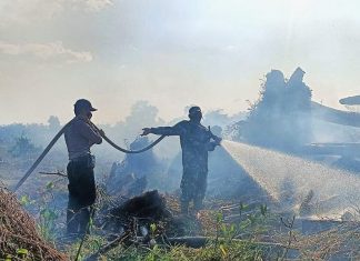 Lahan di Bonai Terbakar, Tim Gabungan Berjibaku Padamkan Api