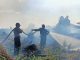 Lahan di Bonai Terbakar, Tim Gabungan Berjibaku Padamkan Api