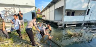 Tiga Bocah di Rohul Ditemukan Mengapung di Rawa