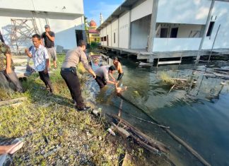 Tiga Bocah di Rohul Ditemukan Mengapung di Rawa