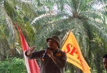 YUSRO FADLY : CABUT LARANGAN EKSPORT, SAATNYA PEMERINTAH PERBAIKI TATA KELOLA SAWIT DAN PUPUK