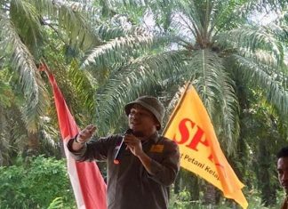 YUSRO FADLY : CABUT LARANGAN EKSPORT, SAATNYA PEMERINTAH PERBAIKI TATA KELOLA SAWIT DAN PUPUK