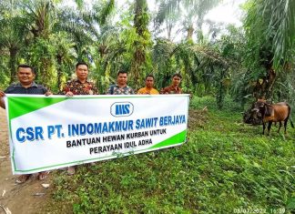 PT Indomakmur Sawit Berjaya Salurkan Bantuan Hewan Qurban