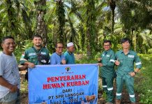 PT SPR Langgak Kembali Salurkan Hewan Kurban Bagi Masyarakat
