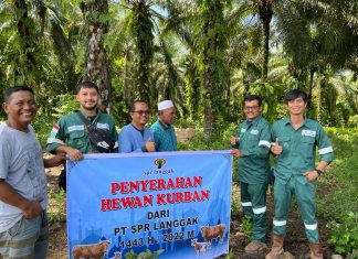 PT SPR Langgak Kembali Salurkan Hewan Kurban Bagi Masyarakat