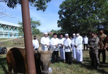 Kurban di Rohul Meningkat, Bupati Sukiman Bangga