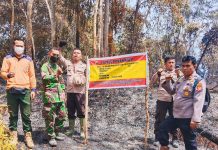 Sedikitnya Tercatat 80 Hektare Lahan di Rohul Terbakar dan Berhasil Dipadamkan Tim Gabungan