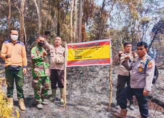 Sedikitnya Tercatat 80 Hektare Lahan di Rohul Terbakar dan Berhasil Dipadamkan Tim Gabungan
