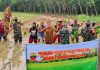 Dukung Ketahanan Pangan, TNI di Rohul Bantu Tanam Padi Sawah Bersama Warga