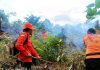 Karhutla Kembali Terjadi di Rokan Hulu