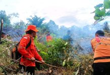 Karhutla Kembali Terjadi di Rokan Hulu
