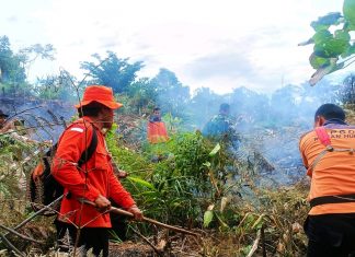 Karhutla Kembali Terjadi di Rokan Hulu