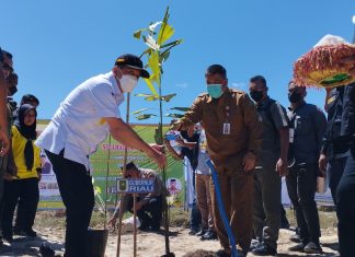 Gubri dan Bupati Rohul Tanam Aren dan Tabur Indukan Arwana