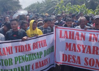 RATUSAN WARGA SONTANG PADATI PT KANDIS MEKAR LESTARI, Minta Hak Masyarakat 20 Persen