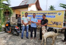 Kades Rambah Serahkan Bantuan Kambing Ke Warga