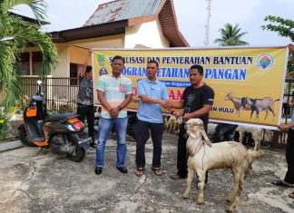 Kades Rambah Serahkan Bantuan Kambing Ke Warga