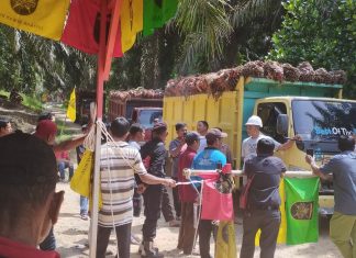 Plang Jalan Ditutup, Camat Rambah Samo Sebut Tanah Dewi Robinar Terletak di Desa Teluk Aur
