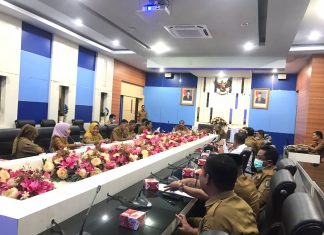 Pemkab Hadirkan Artis Ibukota Pada HUT Rohul XXIII