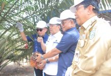 GUBRI DAN BUPATI ROHUL PANEN PERDANA SAWIT PLASMA PTPN V