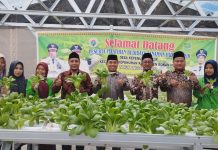 RESES DI KEPENUHAN HILIR, Muhammad Ilham Sambangi Budidaya Tanaman Hidroponik