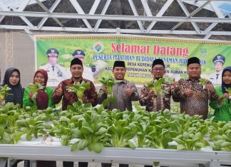 RESES DI KEPENUHAN HILIR, Muhammad Ilham Sambangi Budidaya Tanaman Hidroponik