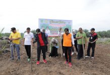 Sapa Masyarakat di Desa Sei Kuning, Wabup Rohul Buka Sosialisasi Kekerasan Terhadap Anak dan Tanam Jagung Bersama