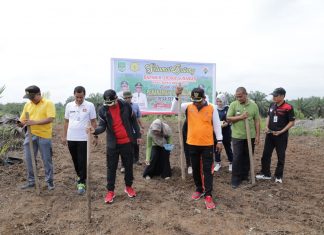 Sapa Masyarakat di Desa Sei Kuning, Wabup Rohul Buka Sosialisasi Kekerasan Terhadap Anak dan Tanam Jagung Bersama