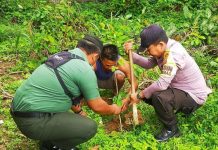 Cintai Lingkungan Sekitar, TNI di Rokan Hulu Tanam Pohon Bersama Polri dan Masyarakat