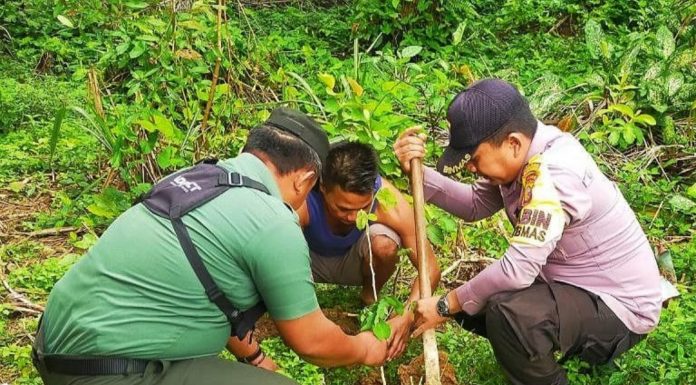 Cintai Lingkungan Sekitar, TNI di Rokan Hulu Tanam Pohon Bersama Polri dan Masyarakat