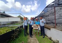Dapat Menghirup Udara Segar, Mantan WBP di Rohul Bawa Pulang Bibit Lobster