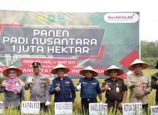 Panen Padi Nusantara 1 Juta Hektar, Ibnu Ulya : Rohul Penghasil Beras di Riau