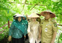 Bupati Sukiman Pantau Persiapan HKG di Desa Mekar Jaya