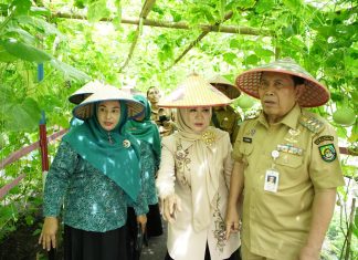 Bupati Sukiman Pantau Persiapan HKG di Desa Mekar Jaya