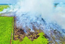 Ratusan Hektar Lahan Gambut di Rokan Hulu Terbakar