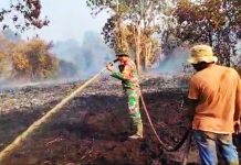 Sempat Terjadi Karlahut 100 Hektare di Kecamatan Yang Sama, 1,5 Hektare Lahan di Bonai Darussalam Kembali Terbakar