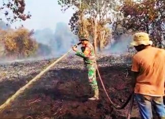 Sempat Terjadi Karlahut 100 Hektare di Kecamatan Yang Sama, 1,5 Hektare Lahan di Bonai Darussalam Kembali Terbakar