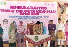 Rembuk Stunting, Bupati Hingga Camat se Rohul Buat Komitmen Bersama