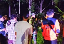 Dilaporkan Hilang, Bocah di Rohul ditemukan di Atas Pohon