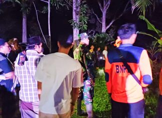Dilaporkan Hilang, Bocah di Rohul ditemukan di Atas Pohon