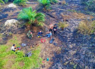 5 Hektare Lahan di Rohul Kembali Terbakar