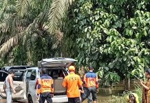Banjir di Rohul, Kalaksa BPBD Himbau Masyarakat Lebih Waspada