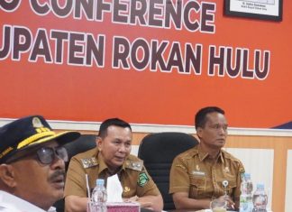Wabup Rohul : Jalan Provinsi di Bonai Belum Bisa Dilewati