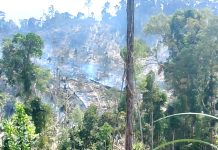 Diduga Dibakar, Lahan 30 Hektare Ludes Dilahap Api