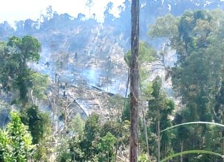 Diduga Dibakar, Lahan 30 Hektare Ludes Dilahap Api